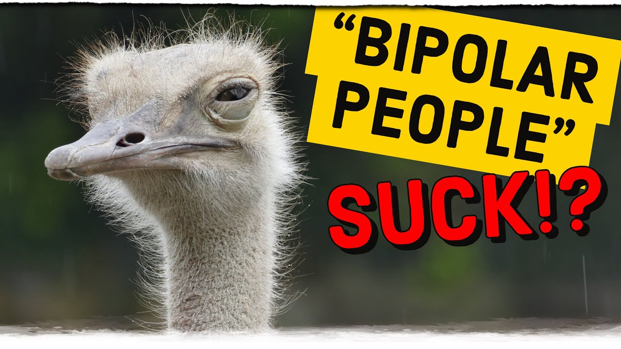 Bipolar People Suck Polar Warriors Bipolar Disorder Support